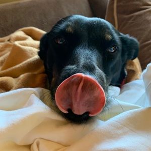 Meet your Posher, Allyson